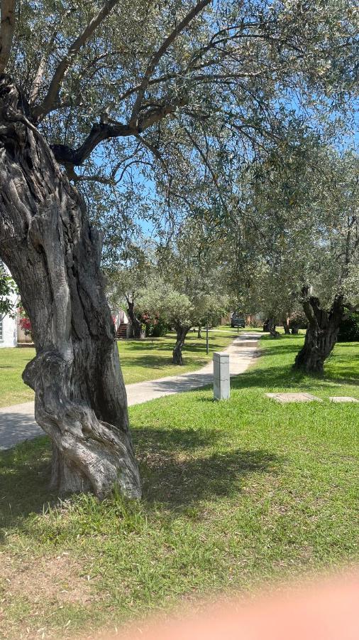 L'Isola Dei Vacanzieri Sant'Andrea Apostolo dello Ionio Kültér fotó